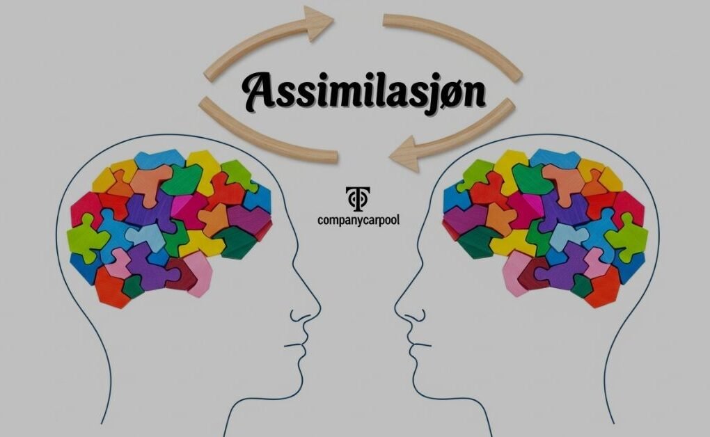 Assimilasjon