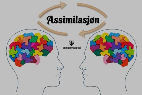 Assimilasjon