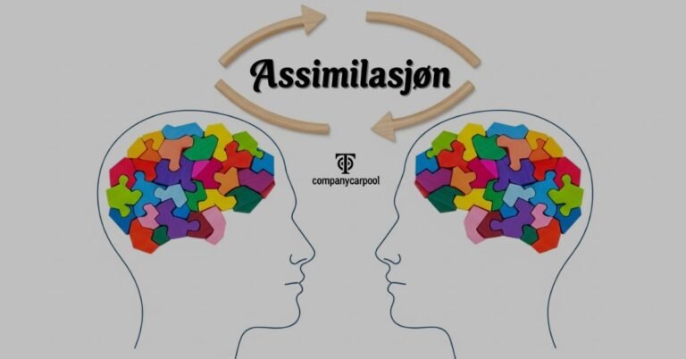 Assimilasjon