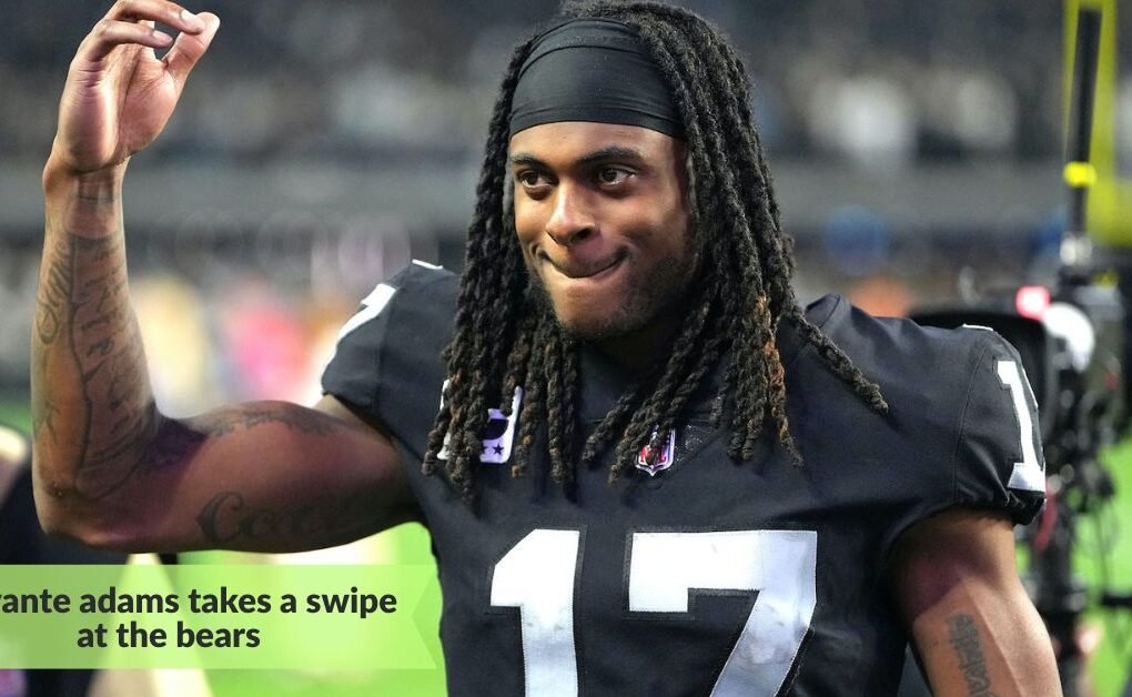 Davante adams takes a swipe at the bears